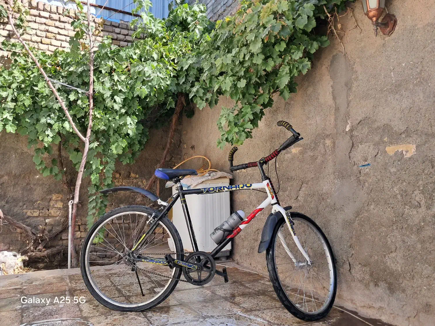 دوچرخه ۲۶|دوچرخه، اسکیت، اسکوتر|تربتحیدریه, سرمحله|دیوار