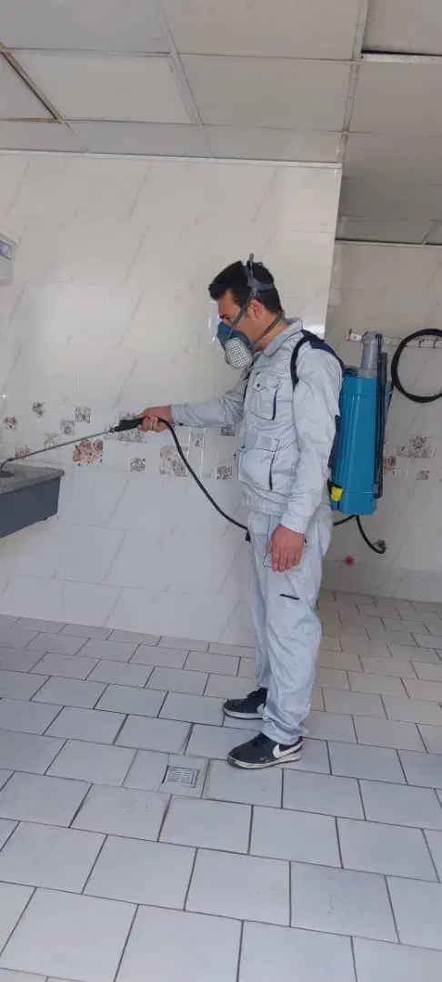 سمپاشی سوسک و طعمه گذاری موش(ساس و غیره)|خدمات نظافت|اسلامشهر, شهرک قائمیه|دیوار