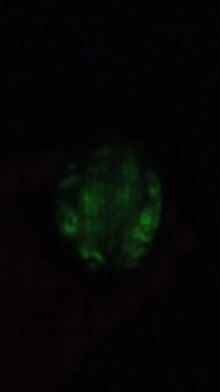 سنگ گوهر شب چراغ|کلکسیون اشیاء عتیقه|کرج, بنیاد|دیوار