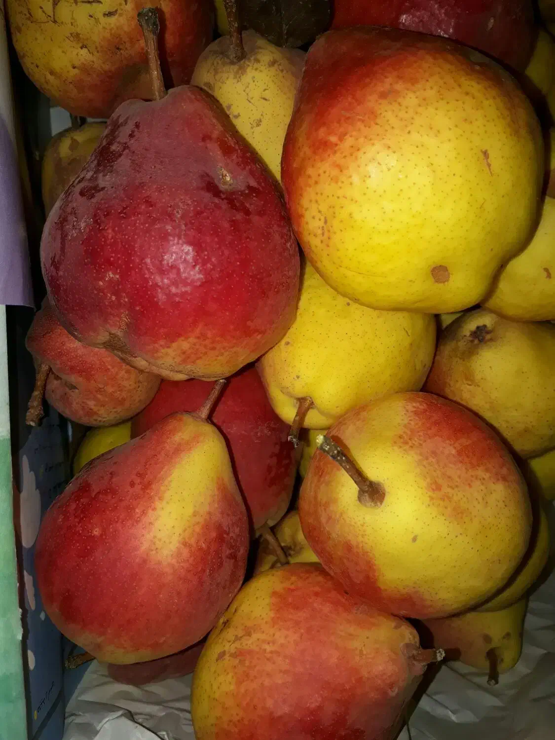 گلابی + سیب استخوانی قرمز و زرد|خوردنی و آشامیدنی|آوج, |دیوار
