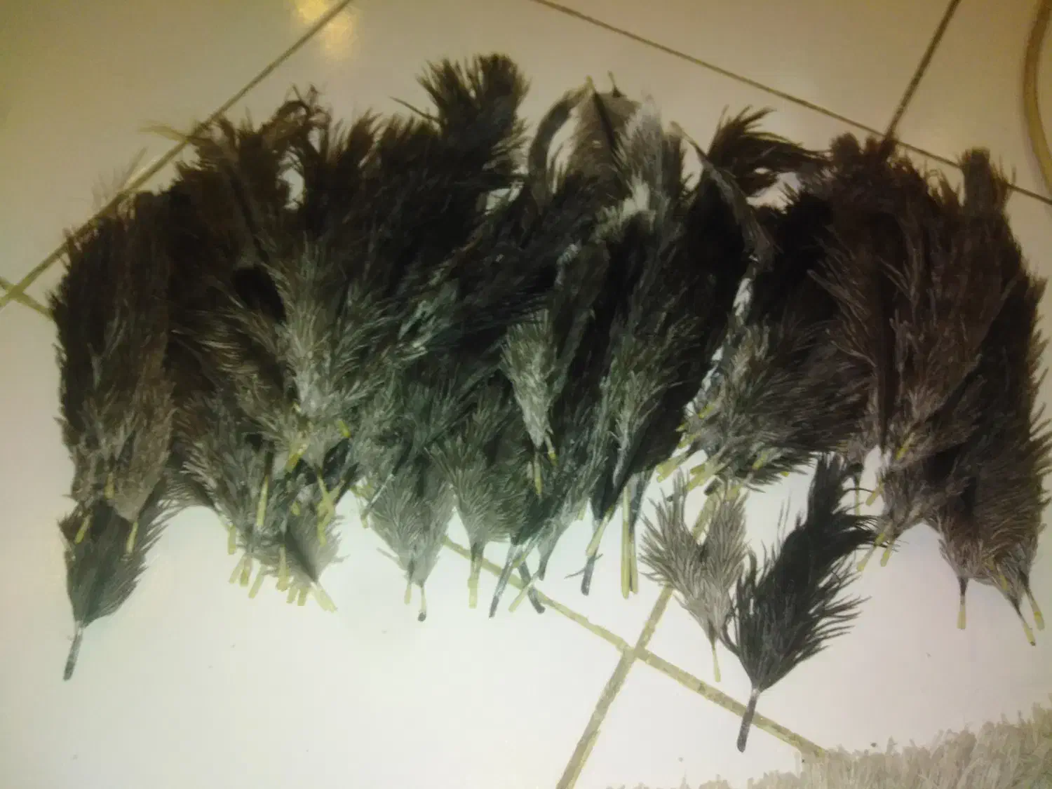 وسایل قدیمی|کلکسیون اشیاء عتیقه|تهران, امامت|دیوار