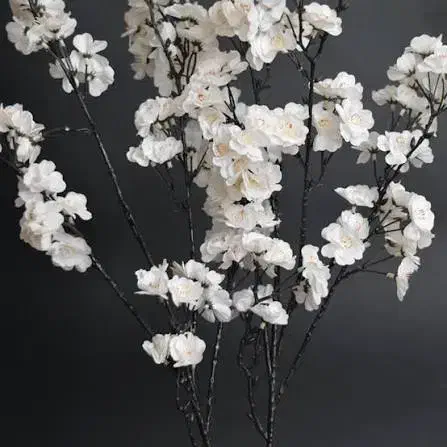 شکوفه بلند سفید ۵ شاخه|گل مصنوعی|مراغه, |دیوار