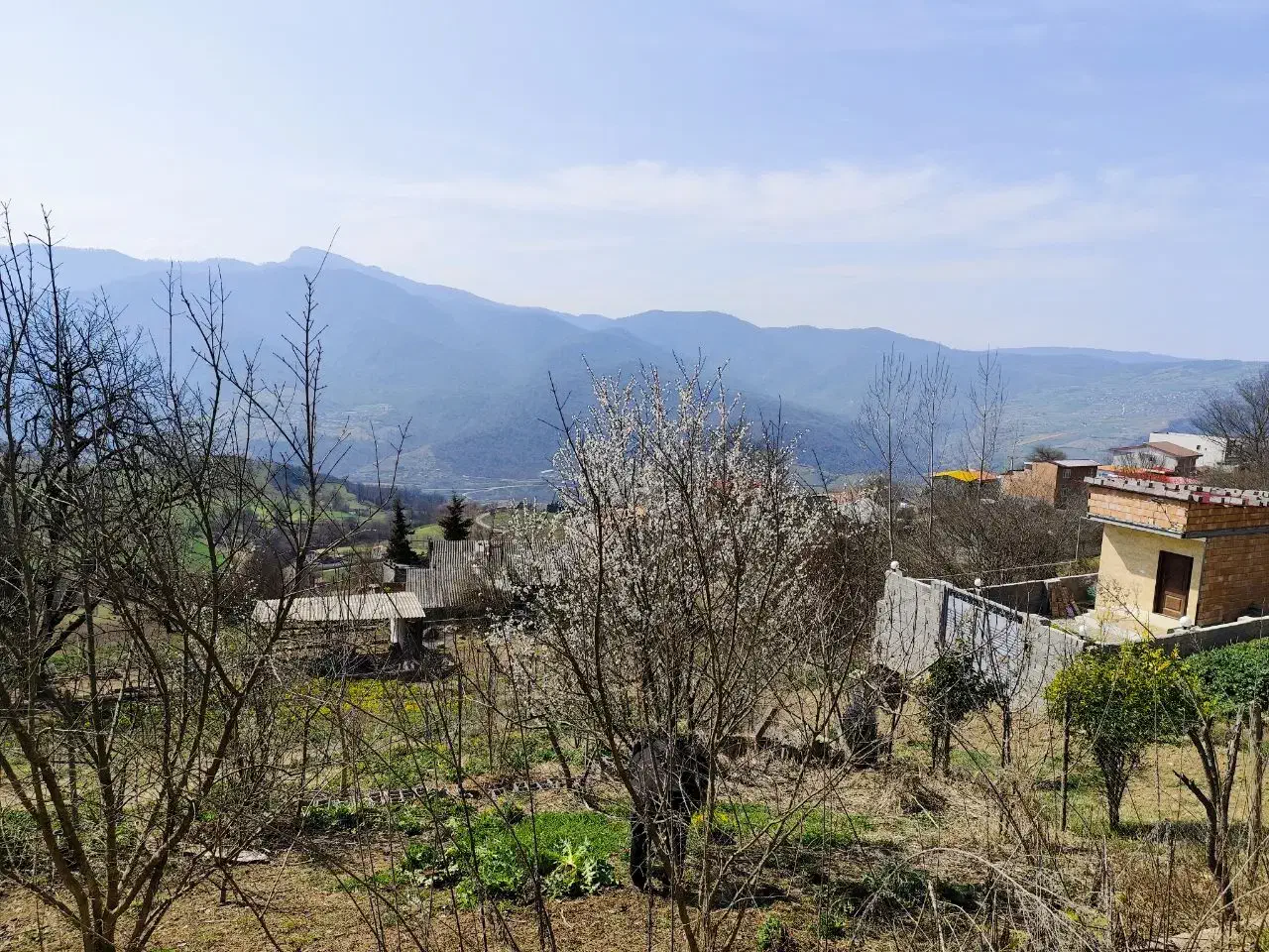 زمین ویلایی بهترین ویو منطقه ساری|فروش زمین و ملک کلنگی|ساری, |دیوار