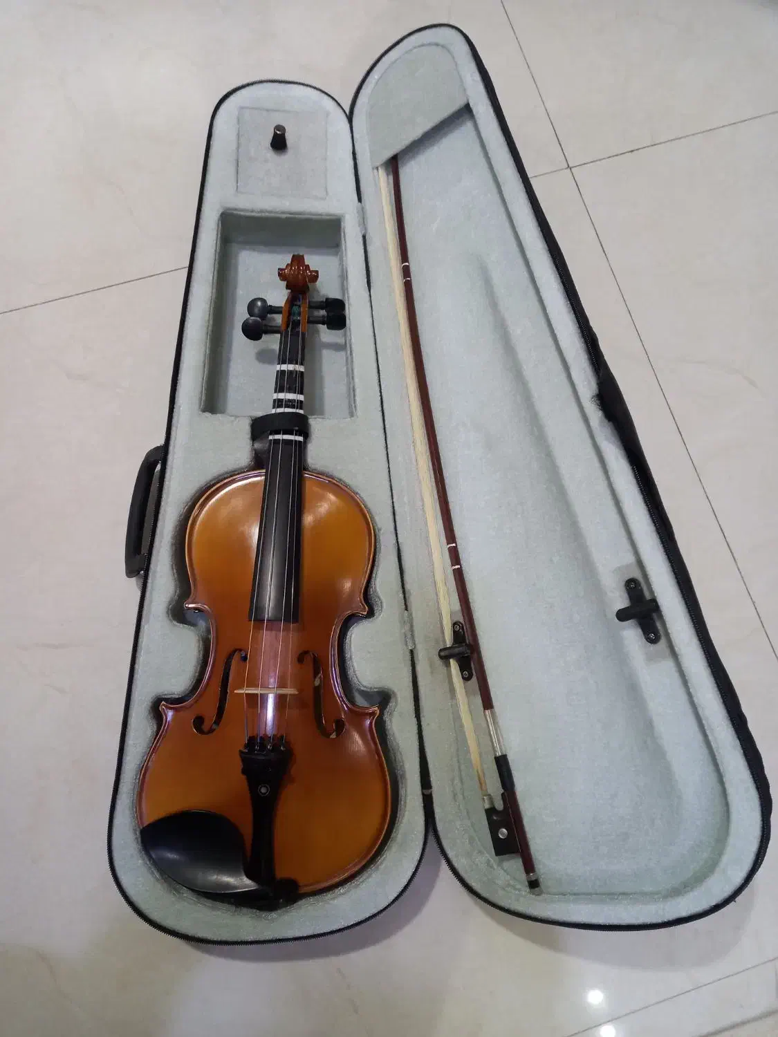 ویولن|ویولن|ساری, |دیوار