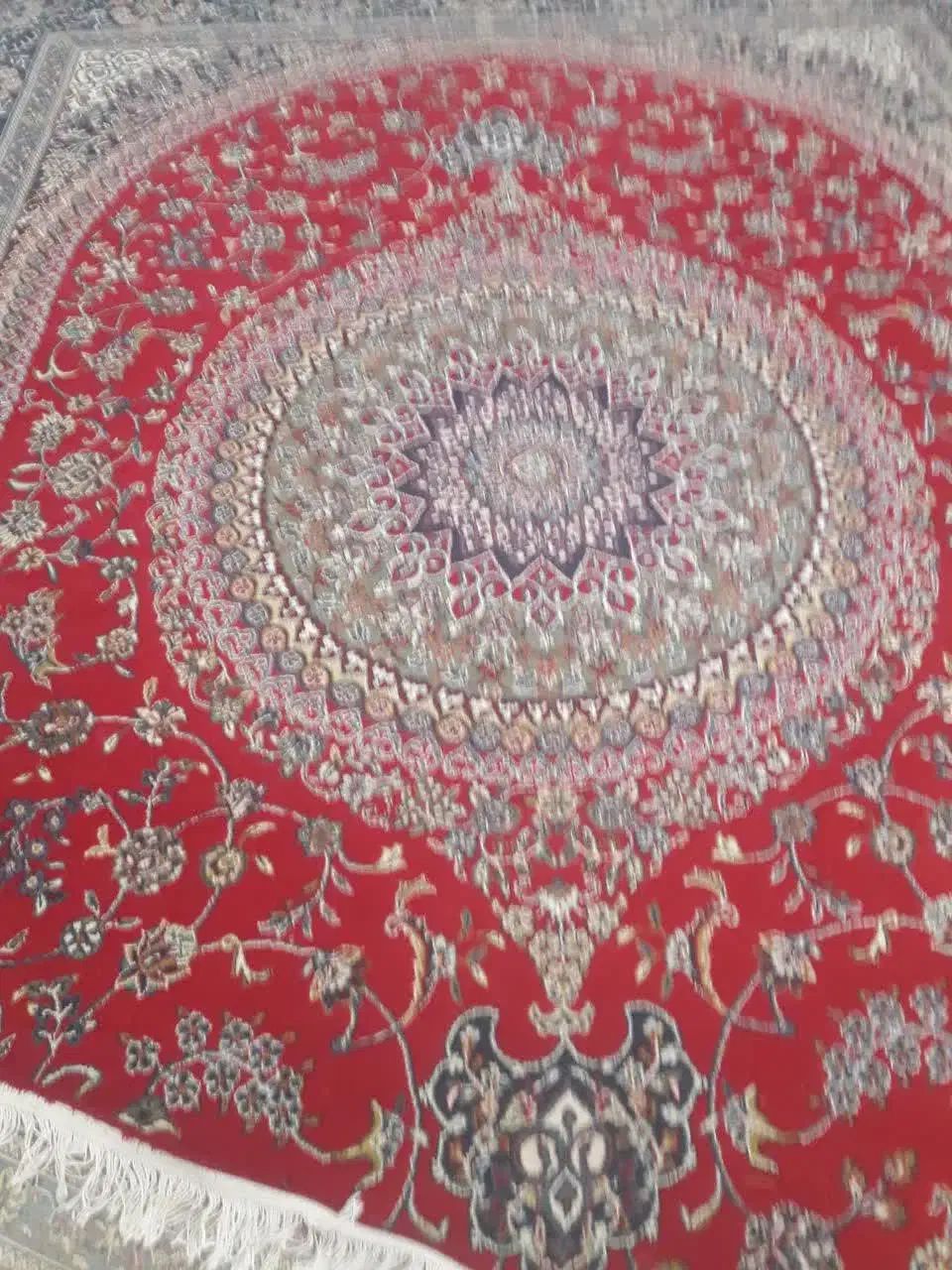 یک عدد یخچال ، فرش و میزTV|یخچال و فریزر|ویسیان, |دیوار