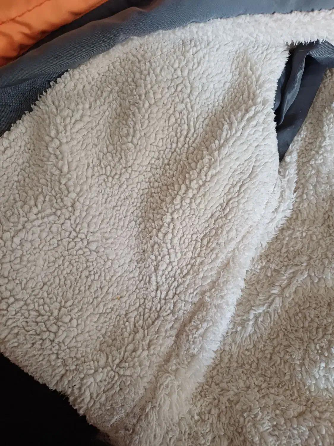 کاپشن بچه گانه|کفش و لباس بچه|اصفهان, آزادان|دیوار