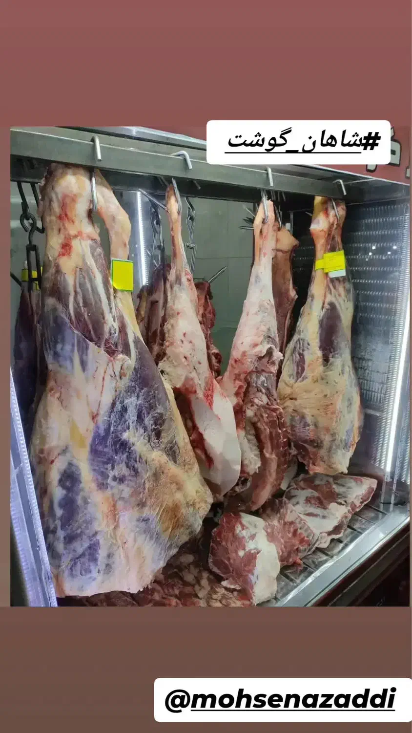 کارگر قصابی|استخدام خدمات فروشگاه و رستوران|میناب, |دیوار