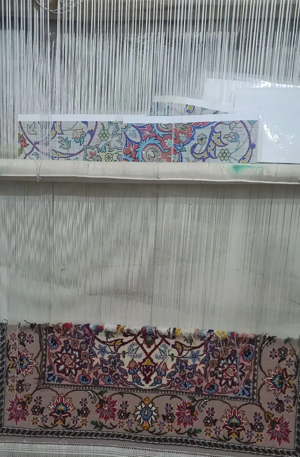 قالی نو|فرش|اصفهان, گلستان|دیوار