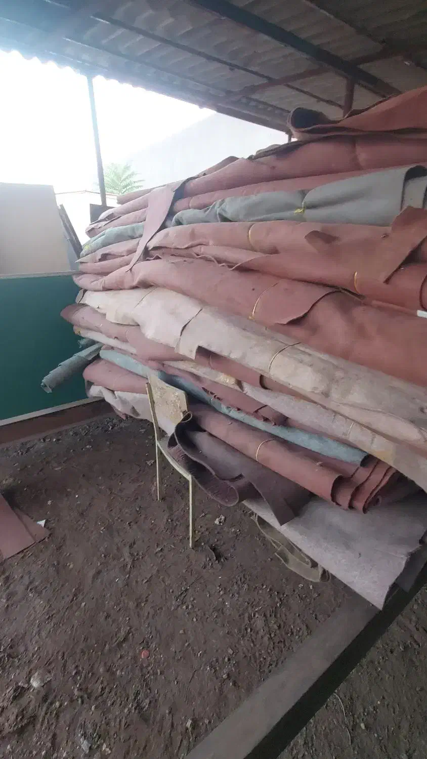 موکت|موکت|گرگان, |دیوار