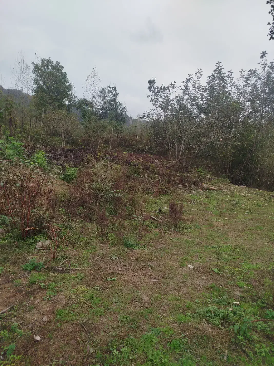 400متر زمین مسکونی نزدیک به رودخانه|فروش زمین و ملک کلنگی|احمدسرگوراب, |دیوار