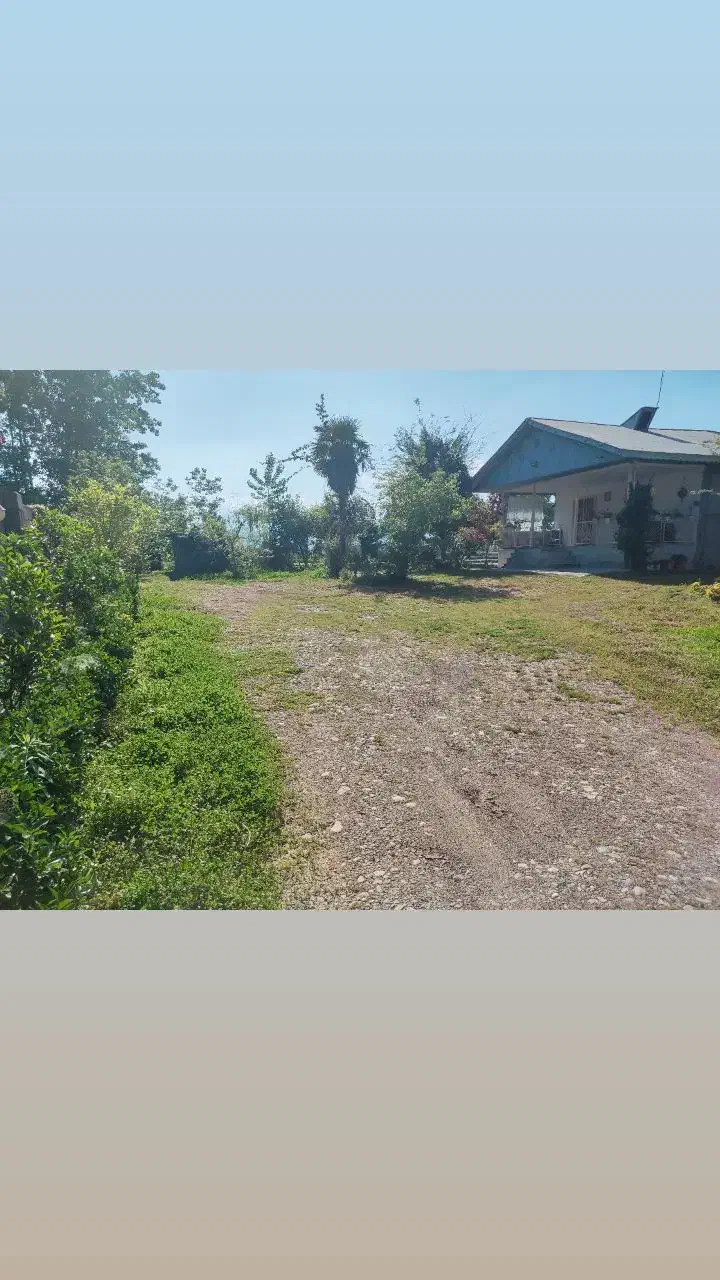 اجاره ویلا خونه باغ|اجارهٔ کوتاه‌مدت ویلا و باغ|شاندرمن, |دیوار