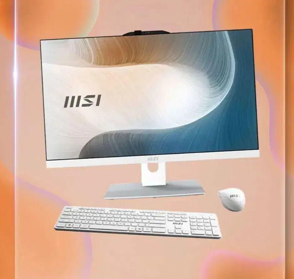 ال این وان MSI AM242P 1M|رایانه رومیزی|یاسوج, |دیوار