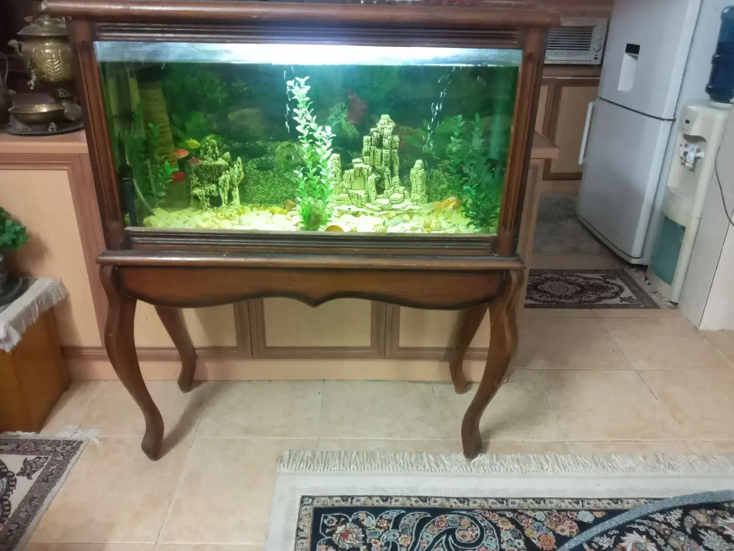 اکواریوم|ماهی|کاشان, درب باغ|دیوار