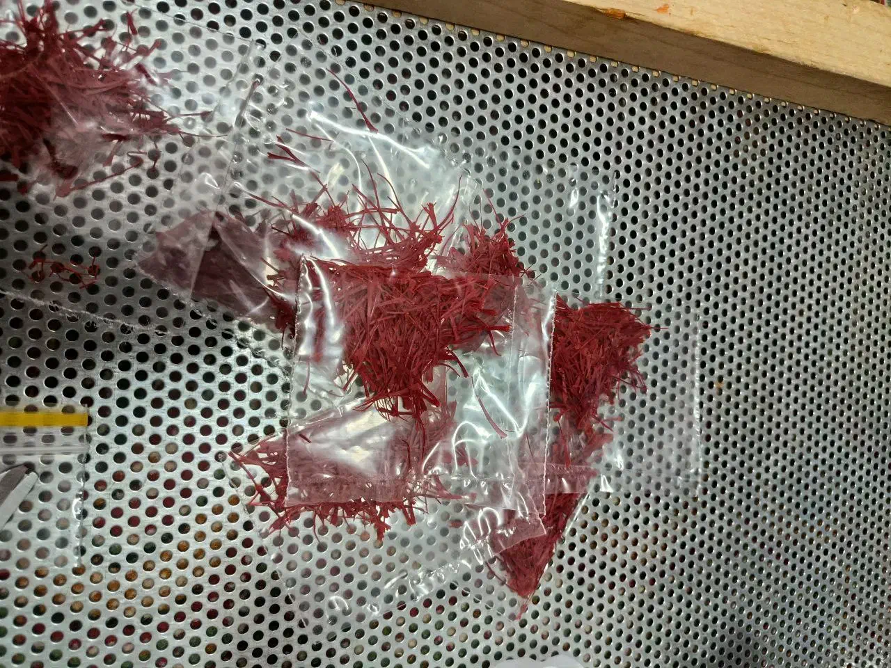 زعفران سوپر نگین درجهیک100٪|عمدهفروشی|شوط, |دیوار