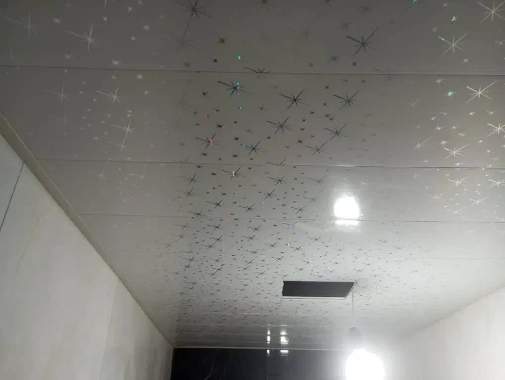 سقف کاذب|خدمات پیشه و مهارت|ایلخچی, |دیوار