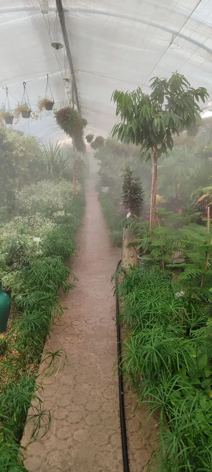 نیروی خانوم برای کار در گلخونه|استخدام خدمات فروشگاه و رستوران|نجف‌آباد, طالقانی|دیوار