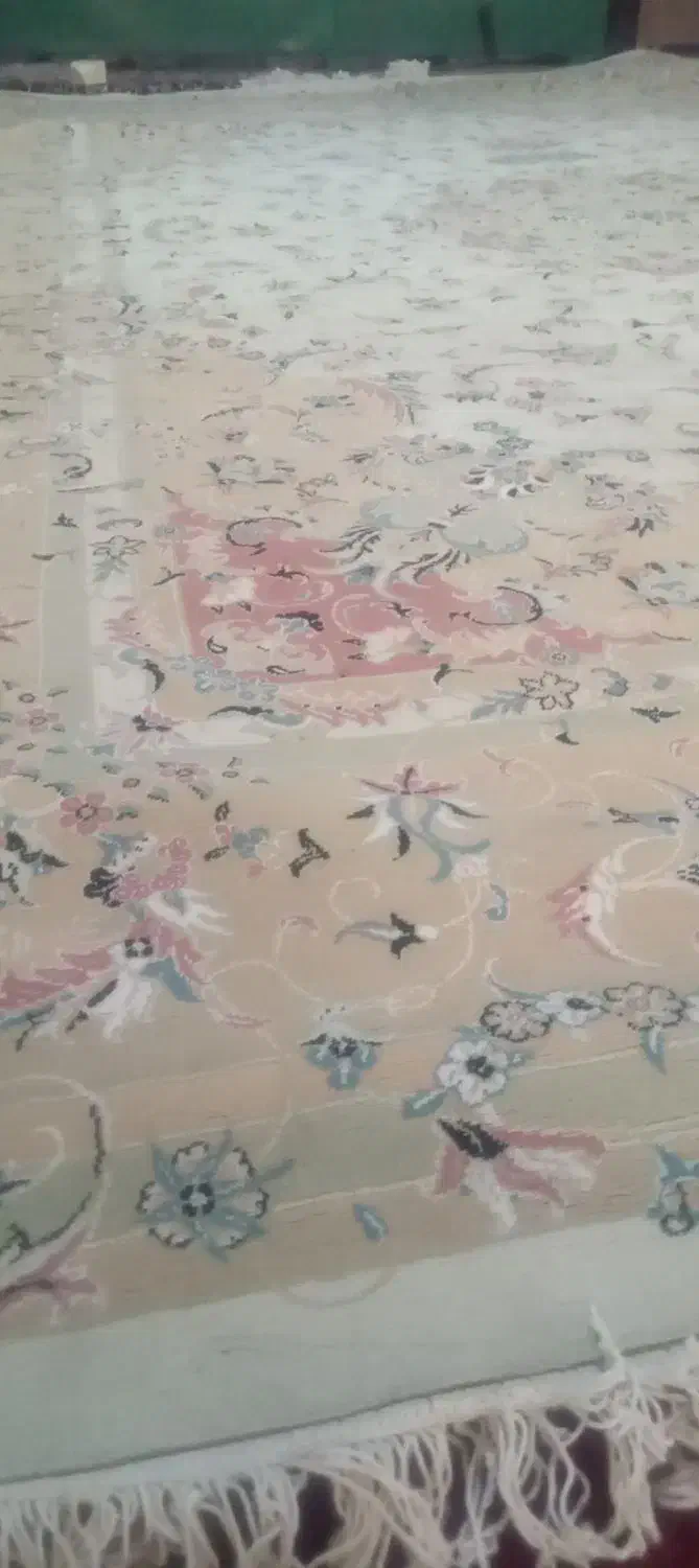 فرش ستاره مشهد|فرش|لردگان, |دیوار