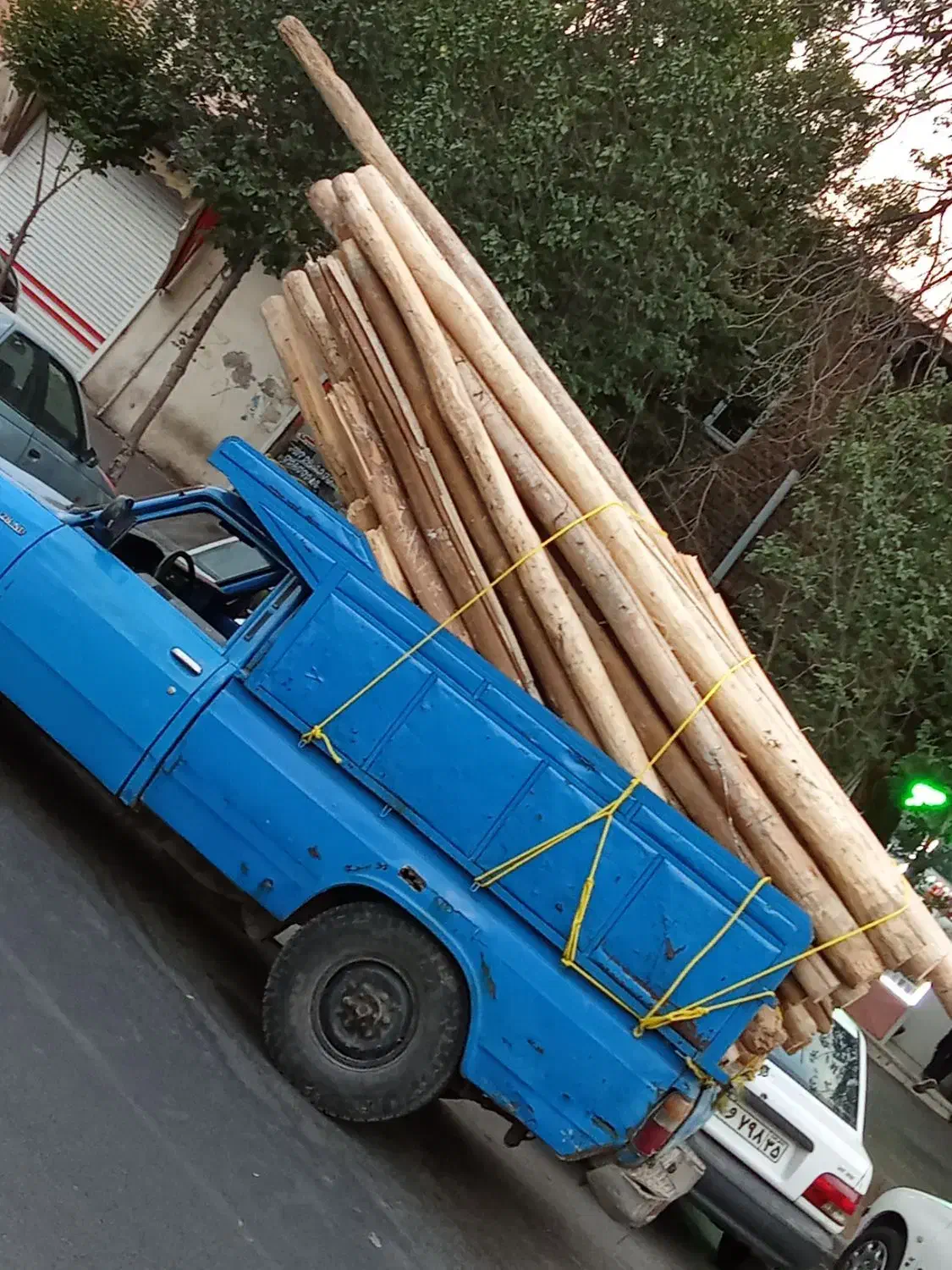 خرید چوب سقفی و تخریب ساختمان|خدمات باغبانی و درختکاری|تبریز, |دیوار