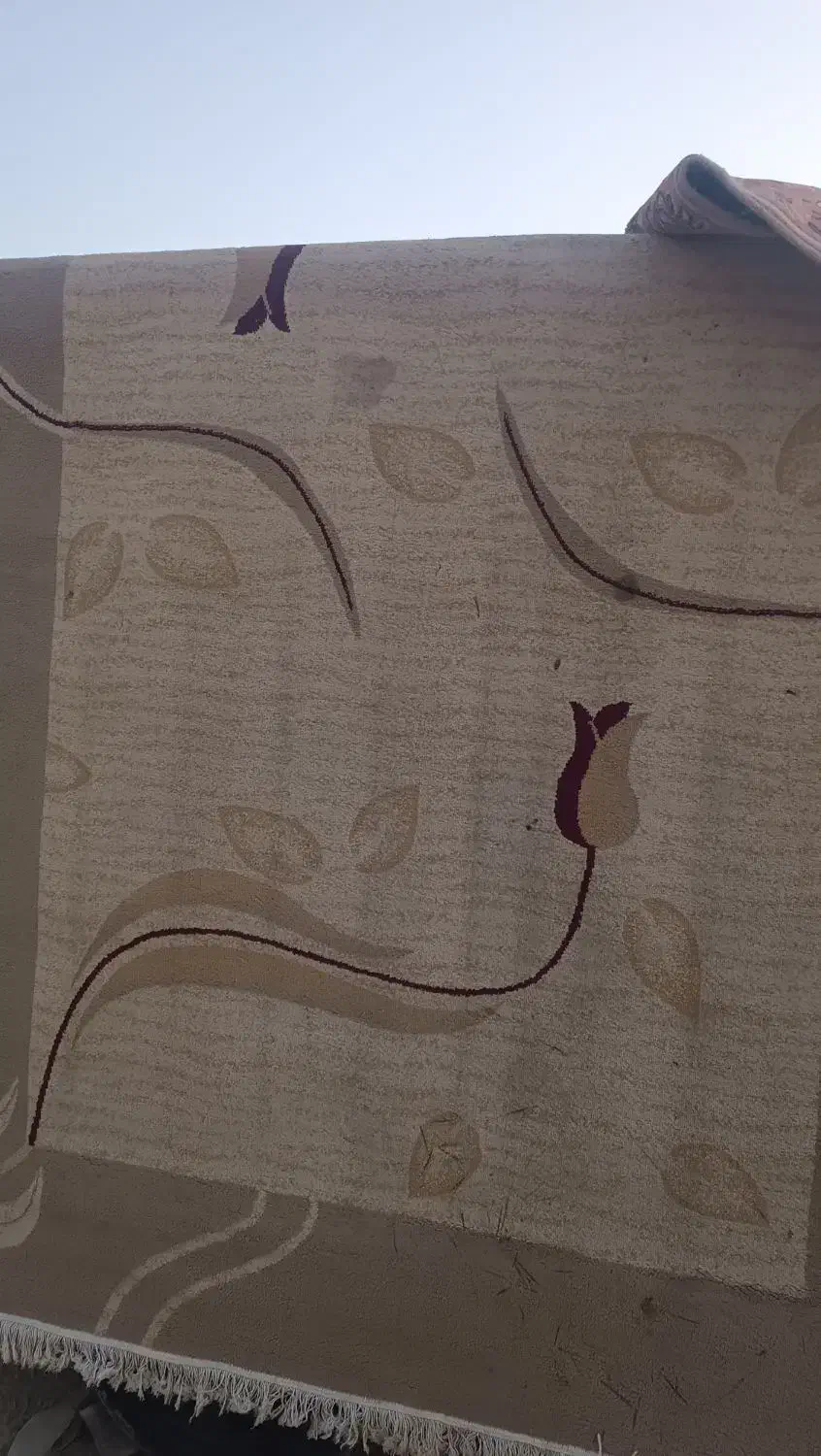 تعدادی وصلیه|حراج|فردیس, فردیس|دیوار