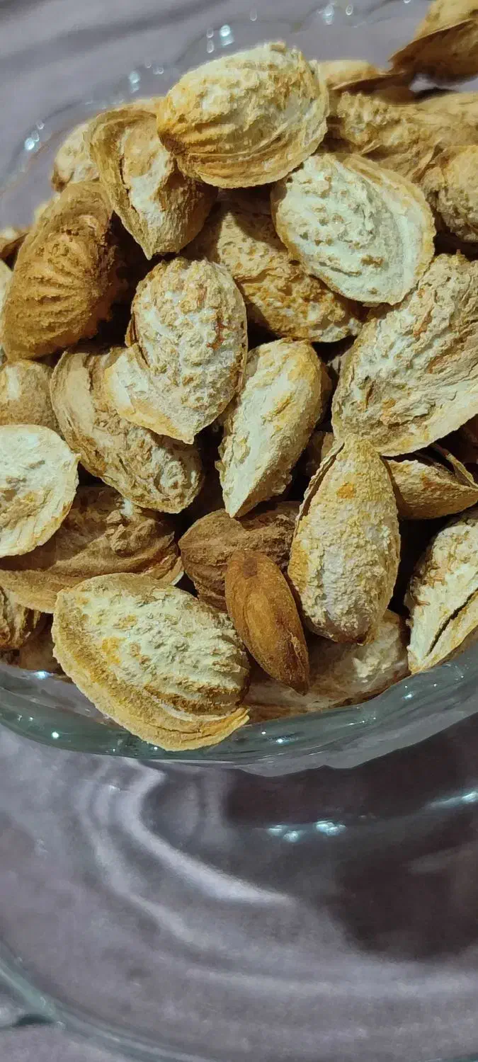 بادام کاغذی اعلا  اذر دیرگل|خوردنی و آشامیدنی|انزل, |دیوار