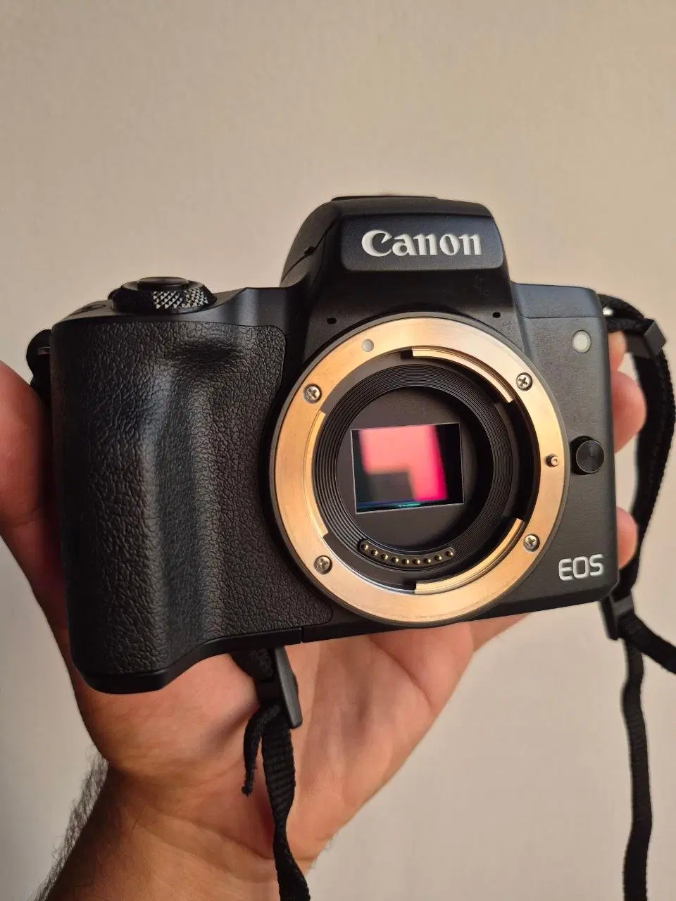 دوربین Canon M50 Mark II و دو لنز و تبدیل و باتری|دوربین عکاسی و فیلم‌برداری|تهران, استخر|دیوار