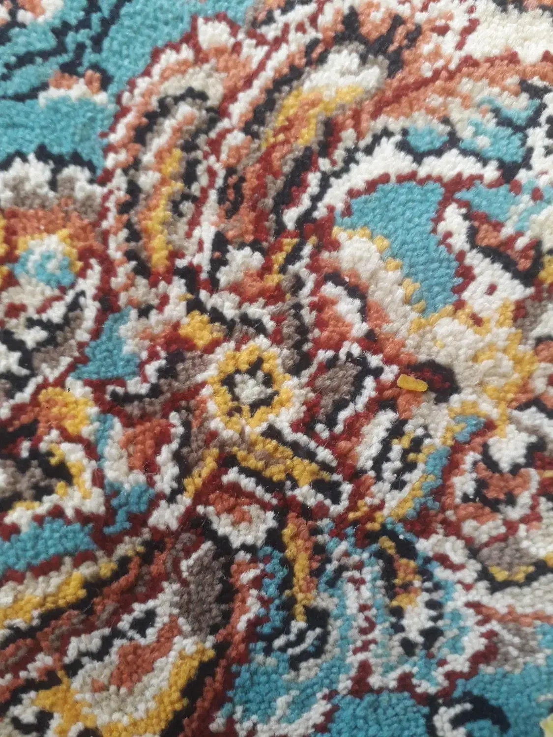 مسافر برای زاهدان|خدمات حمل و نقل|هامون, |دیوار