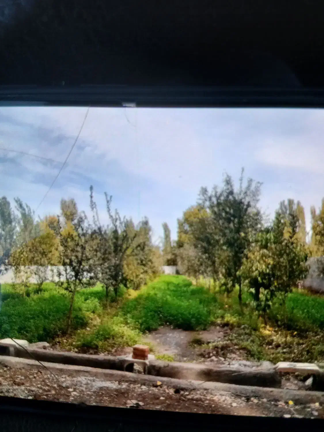 فروش یونجه|خدمات باغبانی و درختکاری|فیرورق, |دیوار