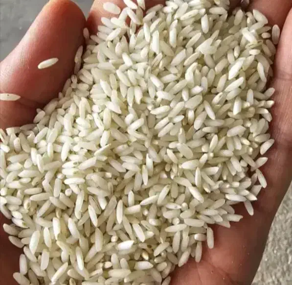 برنج عنبر بو درجه یک مستقیم از کشاورز|خوردنی و آشامیدنی|جم, |دیوار