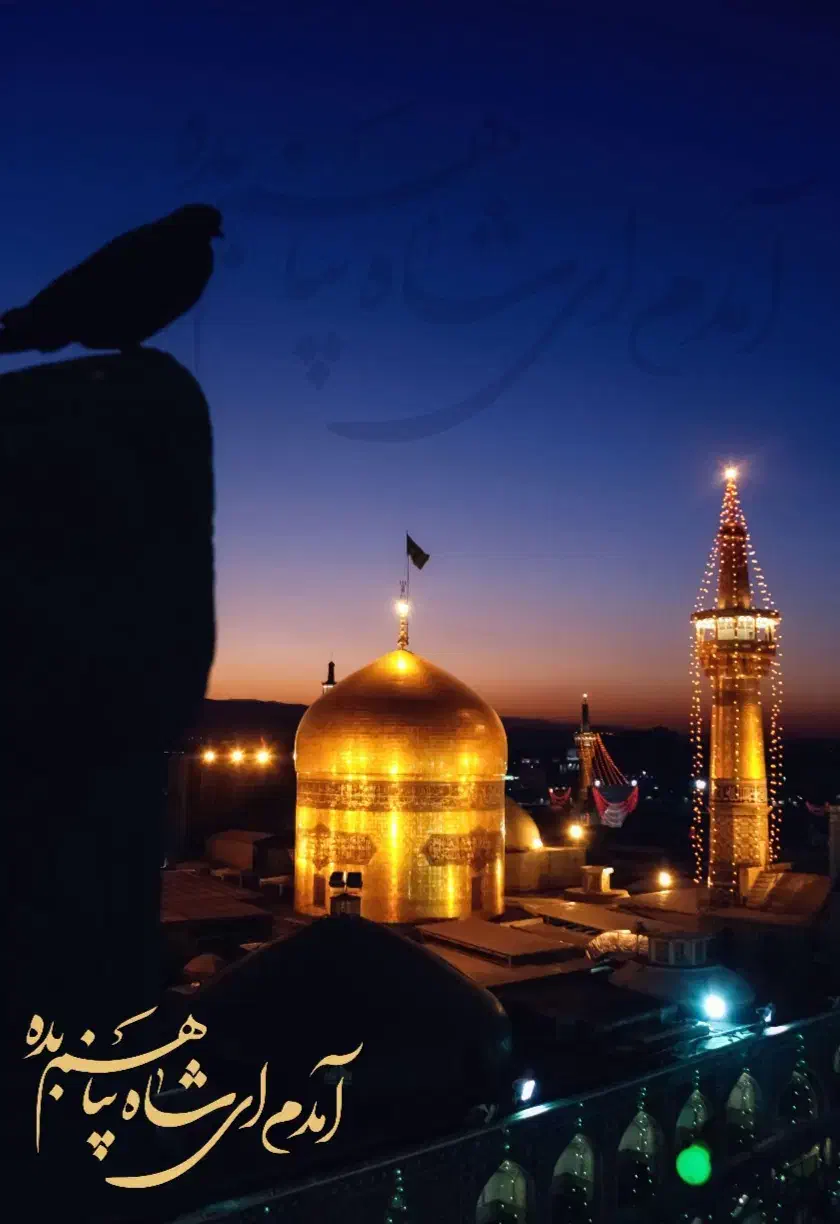 راهنمایی لطفا کنید|فعالیت داوطلبانه|مشهد, نوید|دیوار