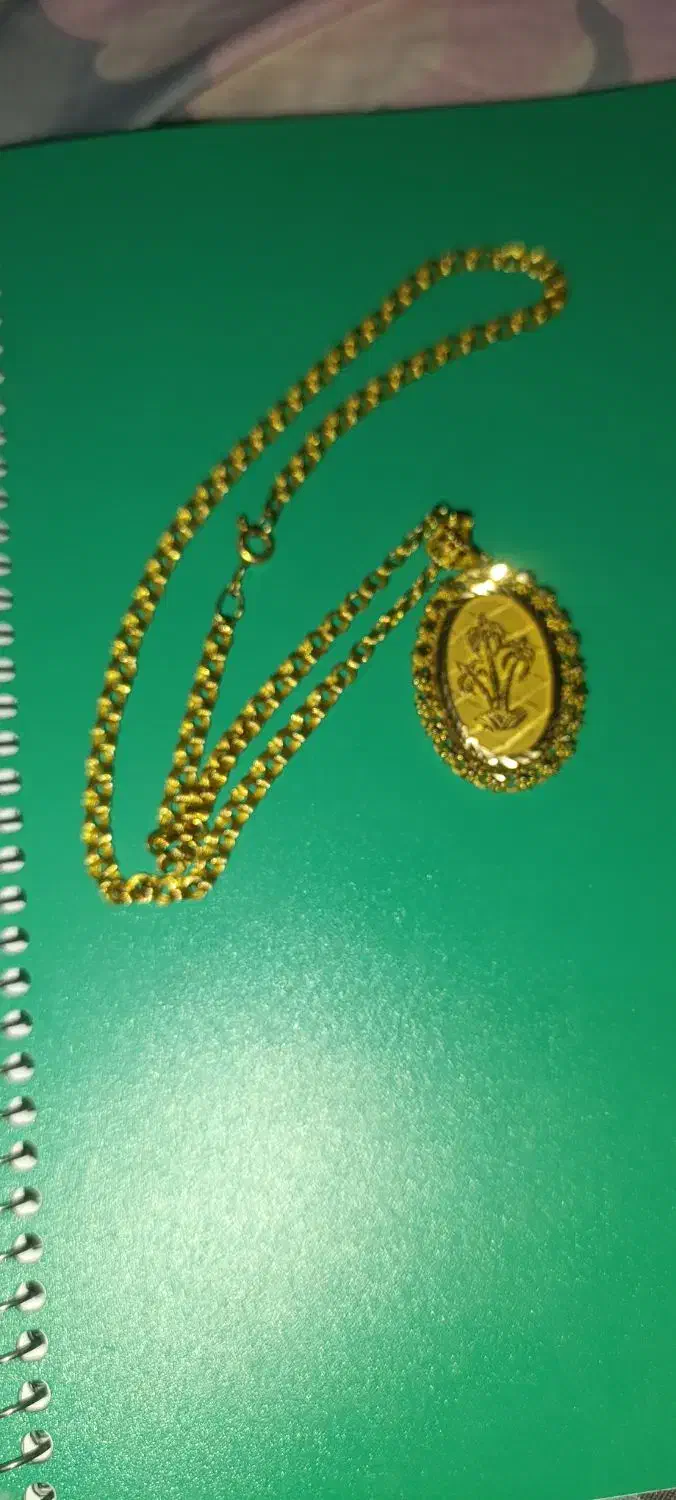 پلاک وزنجیر 21گرم|جواهرات|همدان, |دیوار