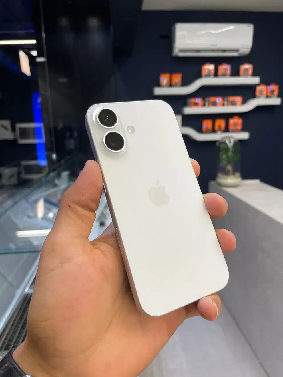 iPhone 16 Normal ، اقساط بلند مدت با کمترین کارمزد|موبایل|مشهد, بهشت|دیوار