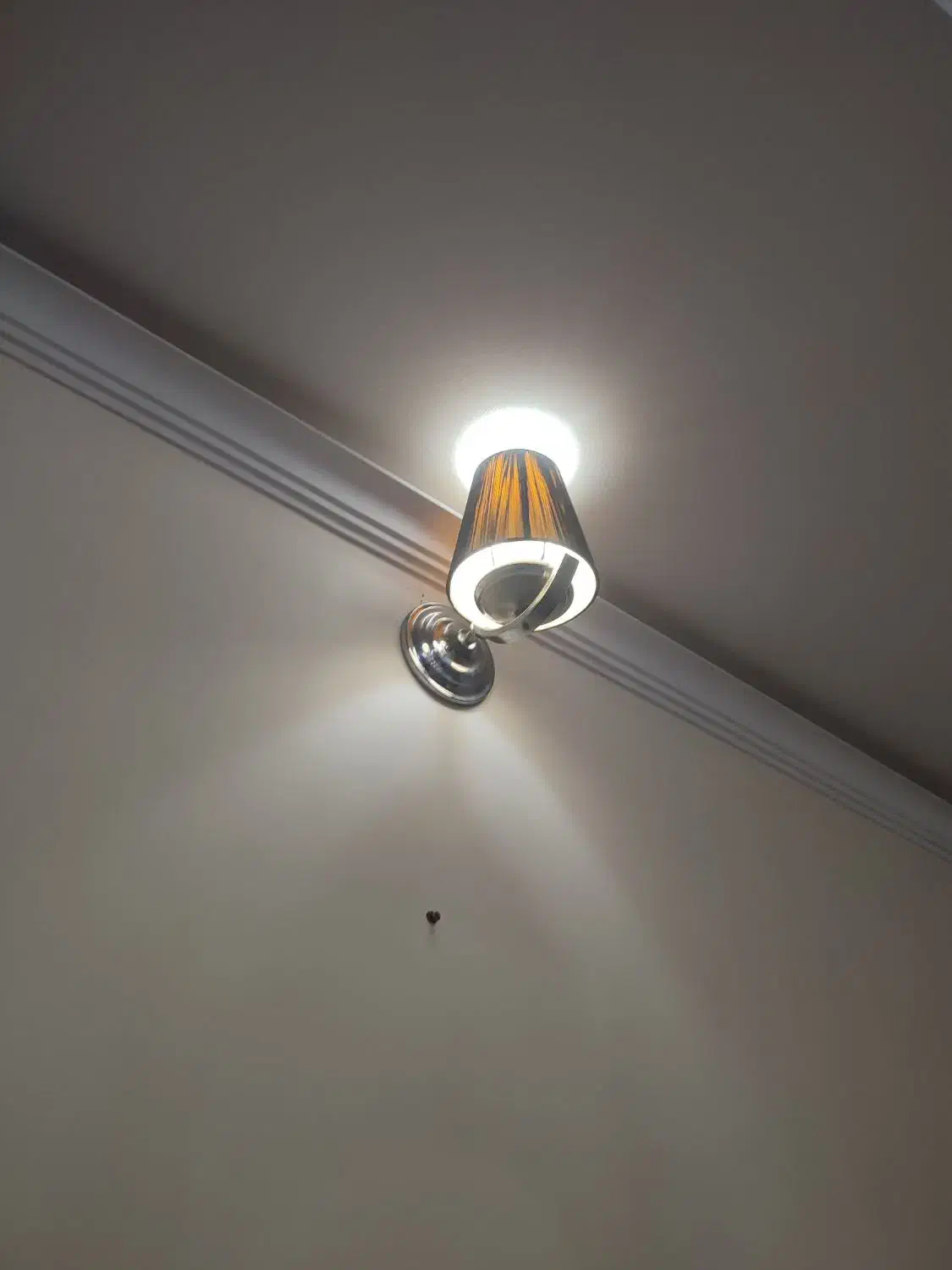 لوستر 8شاخه استیل همراه دیوار کوب|لوستر و چراغ آویز|تهران, زرکش|دیوار