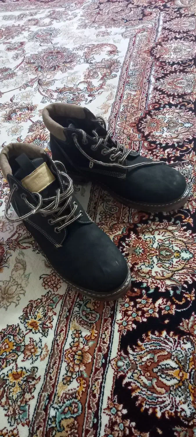 پوتین  کاترپیلار|کیف، کفش، کمربند|اردبیل, |دیوار