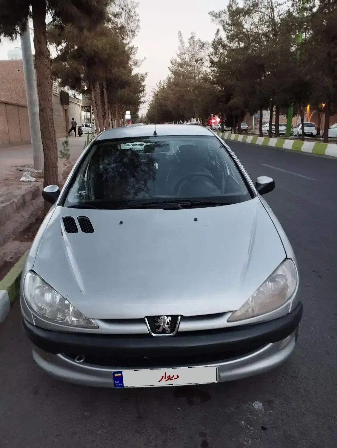 206مدل1385|خودرو سواری و وانت|رفسنجان, |دیوار
