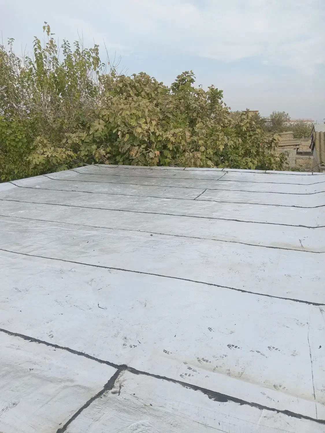 ایزوگام وداربست حمید|خدمات پیشه و مهارت|علی‌آباد کتول, |دیوار