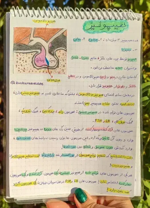 آموزش دروس مدرسه متوسطه اول ، دوم و دوره ابتدایی|خدمات آموزشی|صدرا-فارس, فاز ۲|دیوار