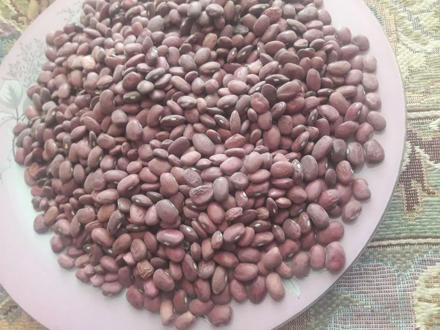 لو بیا قرمز  خوش پخت نیشابور پاک شد|خوردنی و آشامیدنی|نیشابور, مازول|دیوار