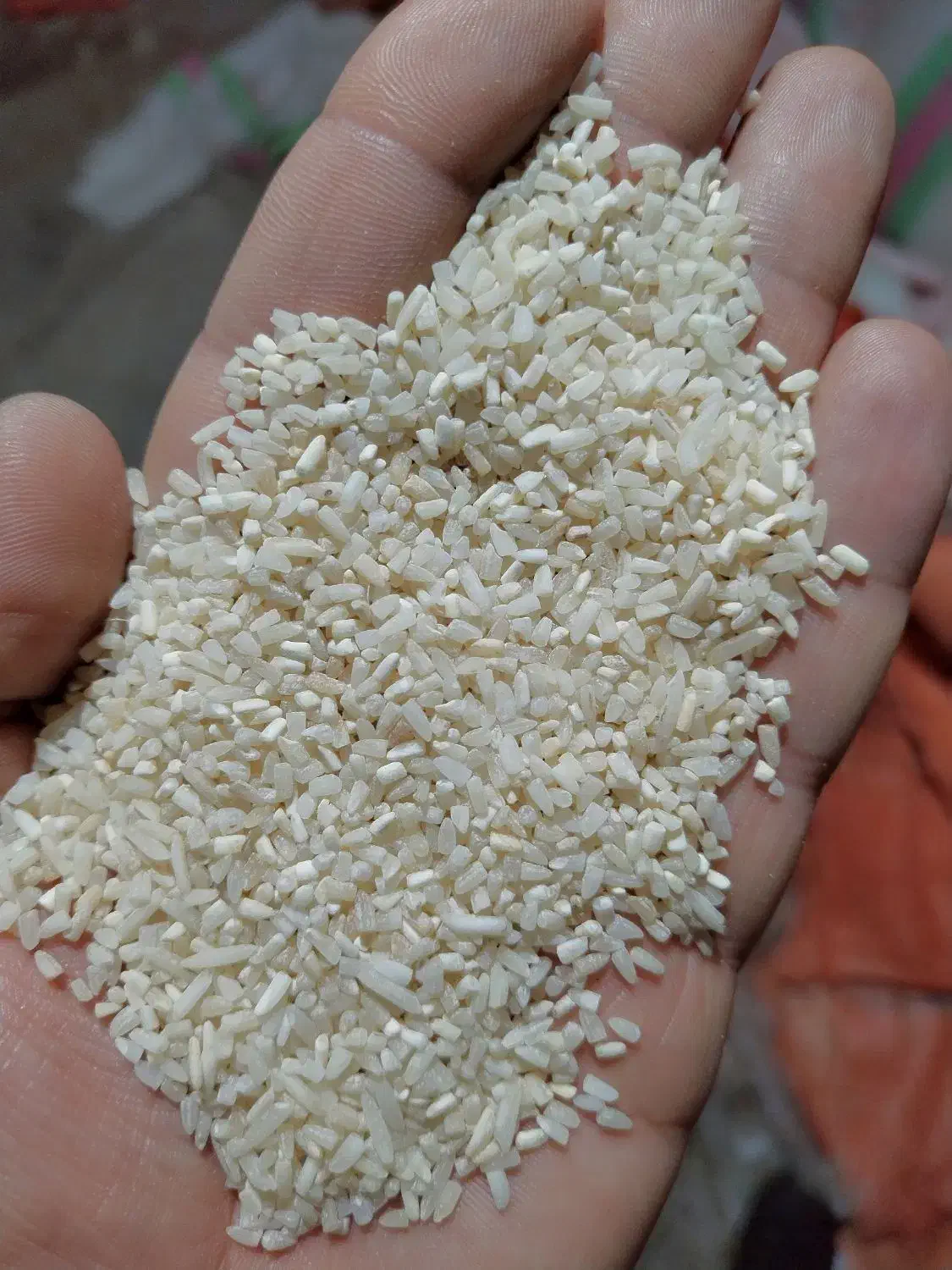 برنج شکسته دودی|خوردنی و آشامیدنی|اردبیل, |دیوار