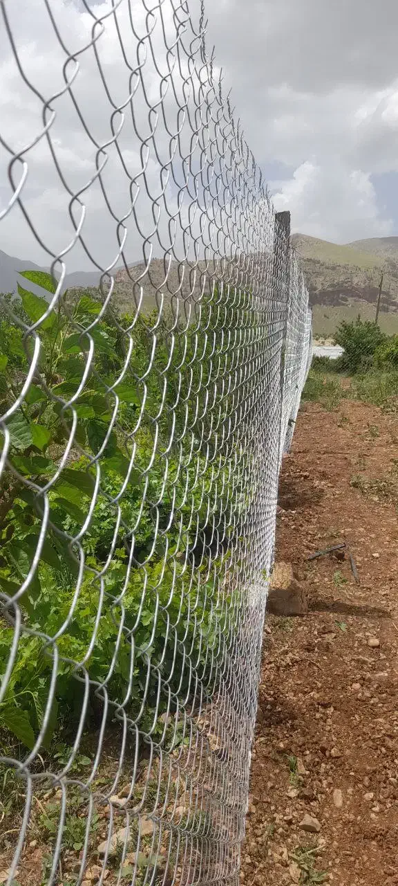 باغ ۱۰۰۰متری مدارک تکمیل|فروش دفتر صنعتی، کشاورزی، تجاری|کرمانشاه, |دیوار