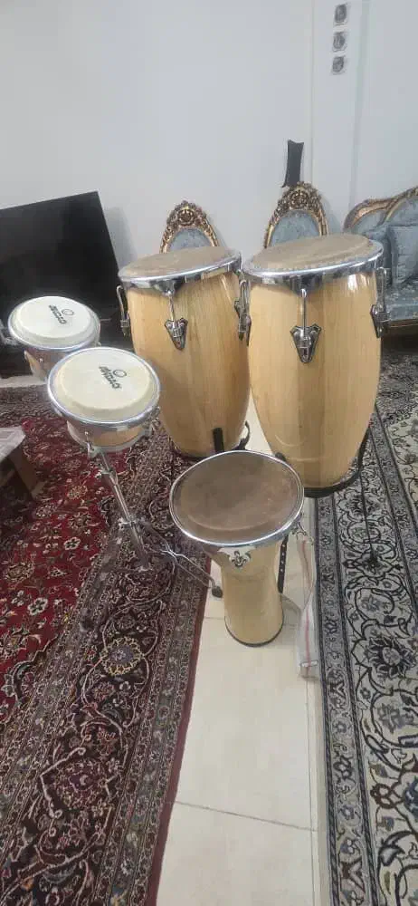 تمپو بنگو بینگو|درام و پرکاشن|تهران, بریانک|دیوار