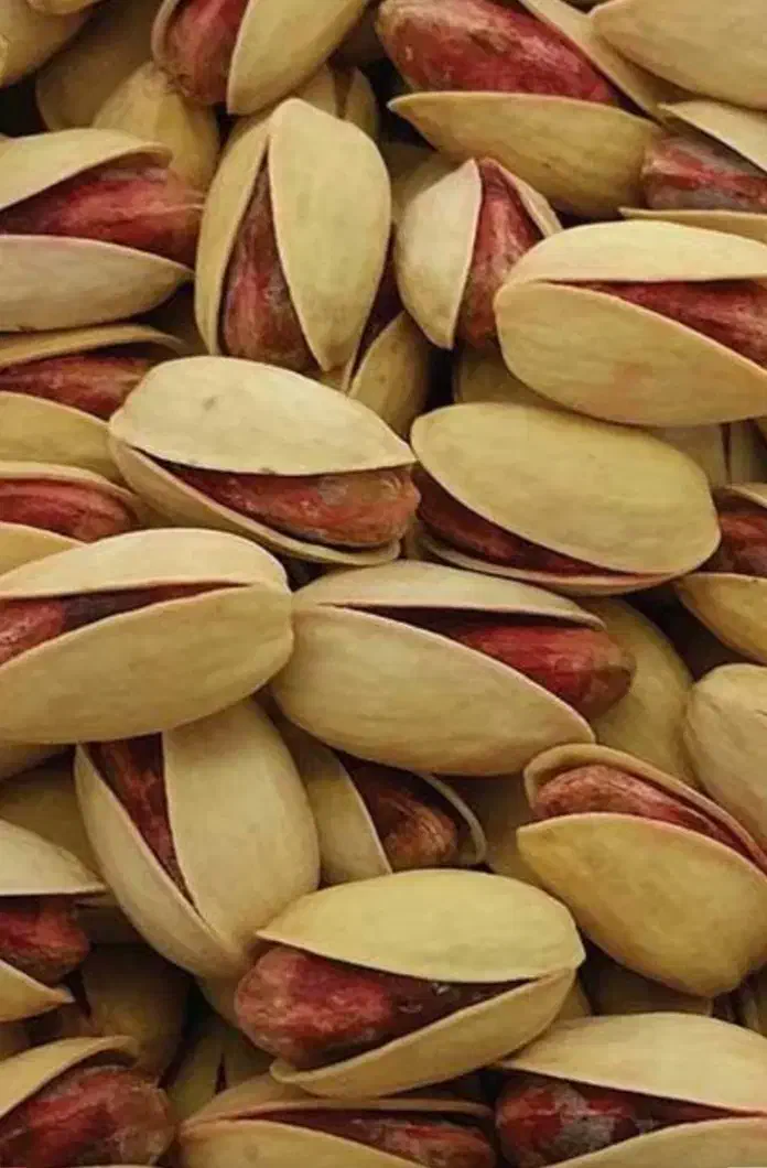 خرید پسته ناخندان به بصورت نقدی وپسته مخلوط|عمده‌فروشی|زرند, |دیوار