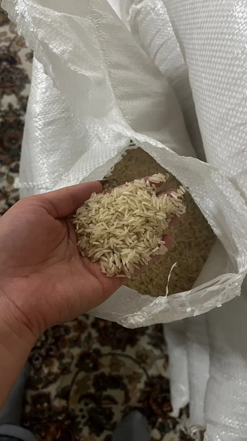 برنج شمال و رب انار محلی|خوردنی و آشامیدنی|مشهد, کوشش|دیوار