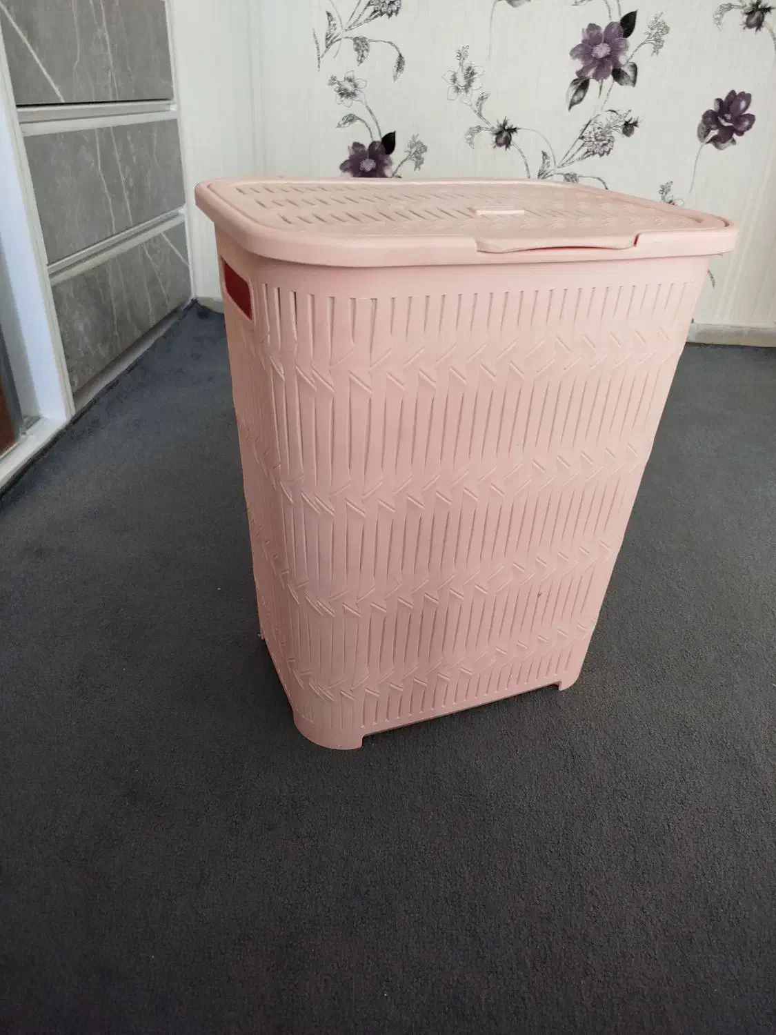 سبد بزرگ لیمون|ظروف نگهدارنده، پلاستیکی، یک‌بارمصرف|کرج, اصفهانی‌ها|دیوار