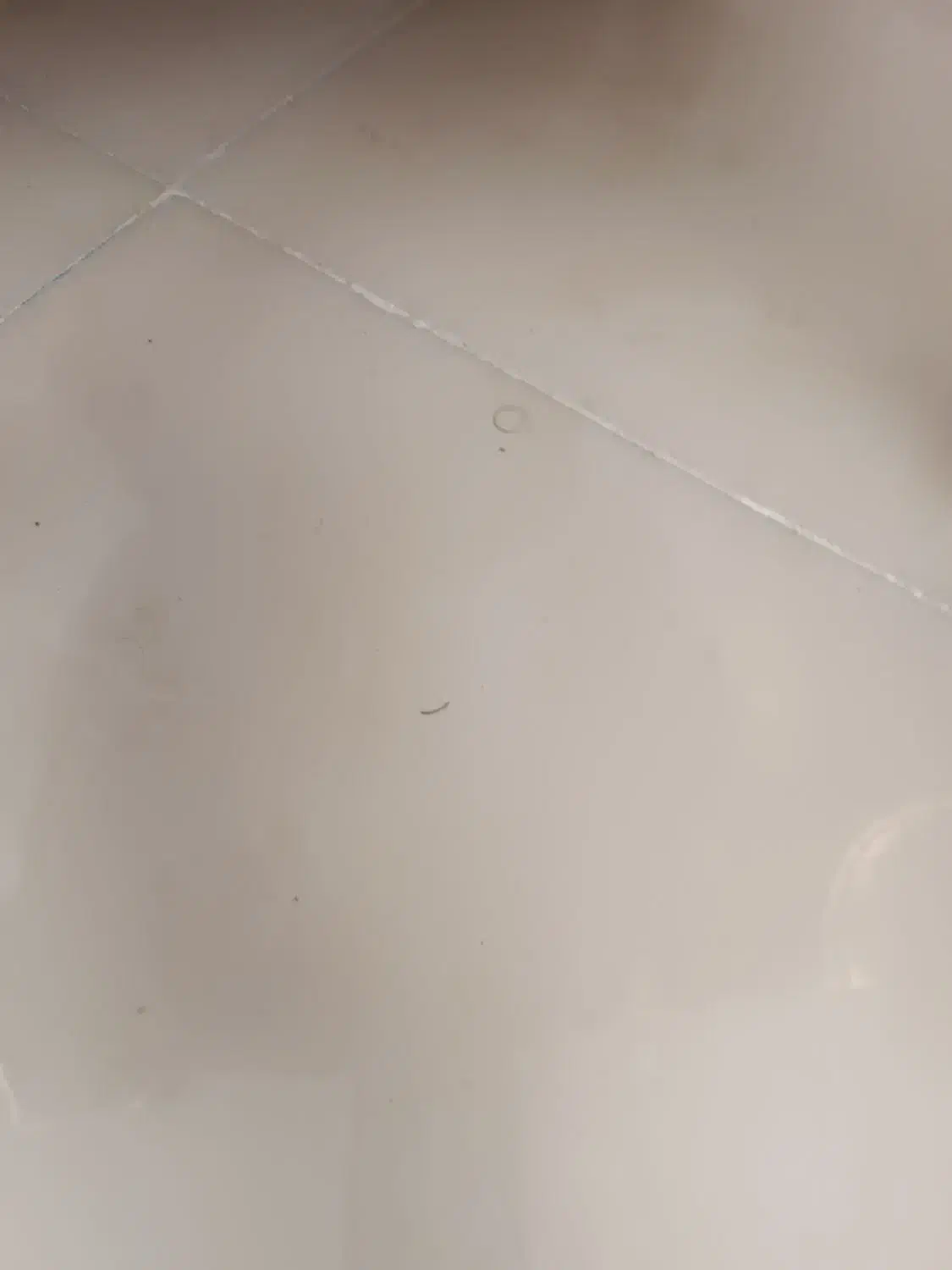 سوله اجاره ای|اجارهٔ دفتر صنعتی، کشاورزی، تجاری|خضر آباد, |دیوار