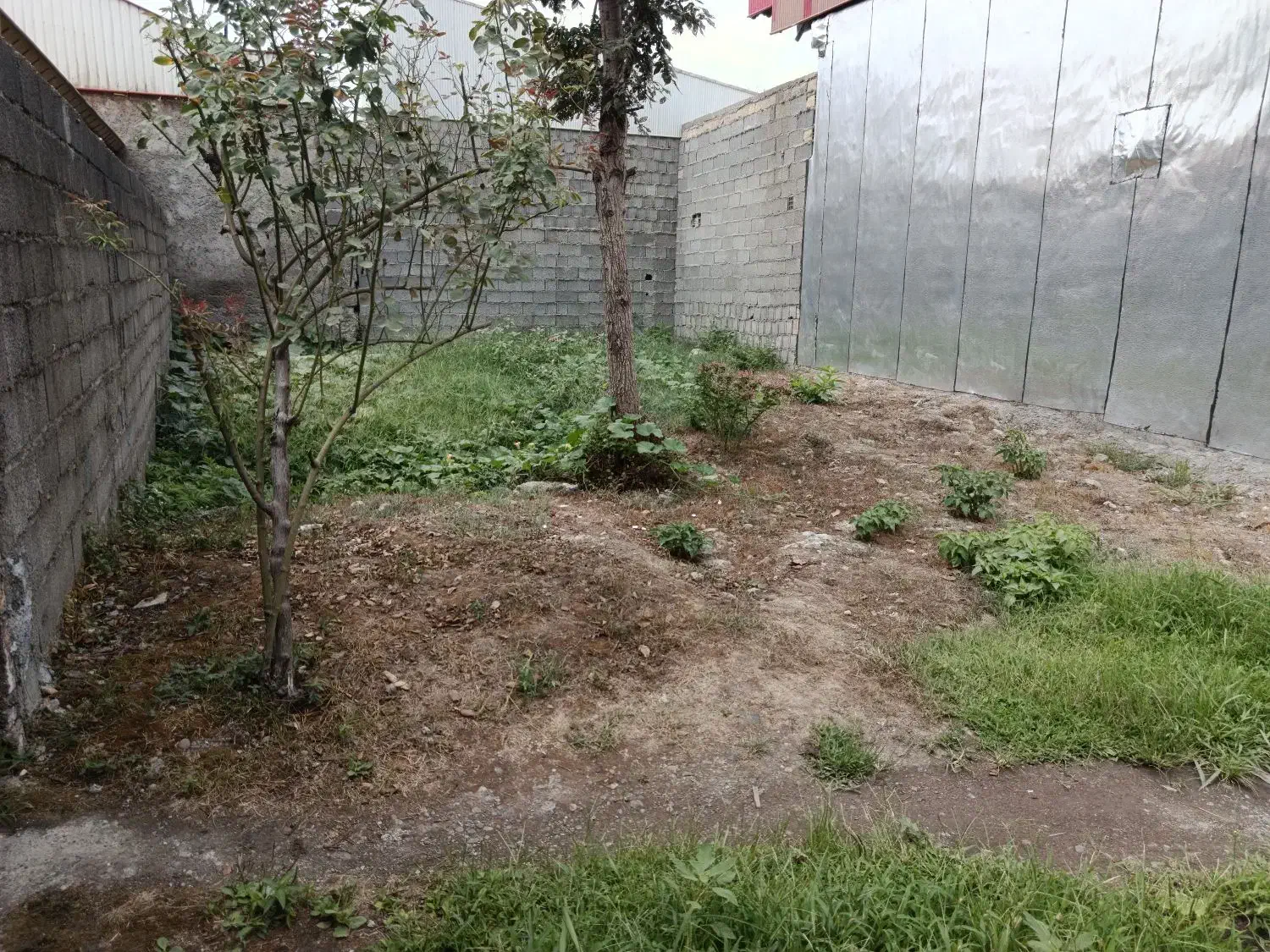 فروش زمین مسکونی|اجارهٔ خانه و ویلا|رشت, حومه رشت|دیوار