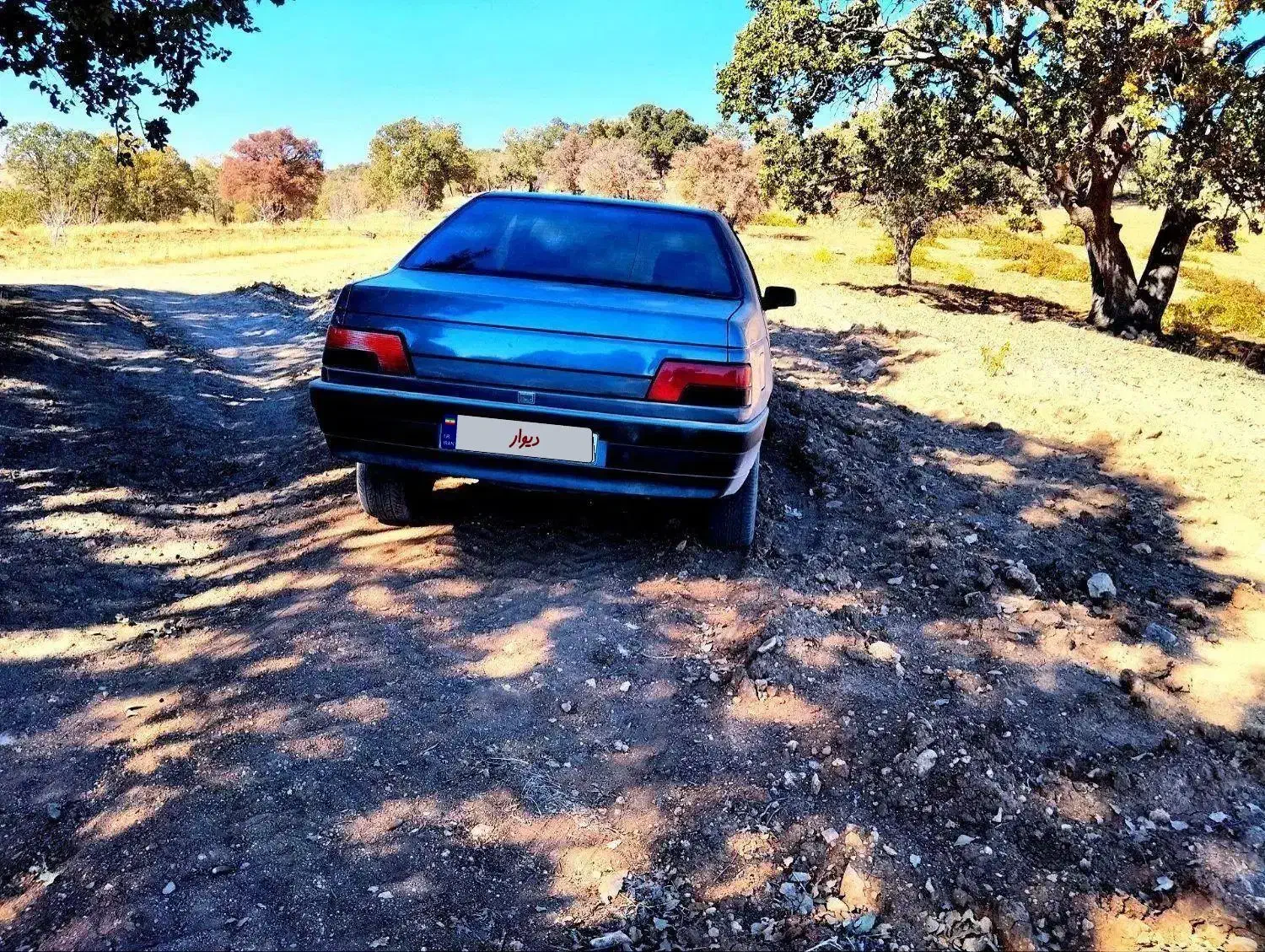 خودرو ۴۰۵فروشی|خودرو سواری و وانت|نورآباد ممسنی, |دیوار