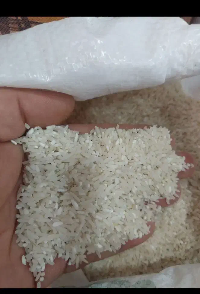 برنج سرلاشه طارم|خوردنی و آشامیدنی|زرگرشهر, |دیوار