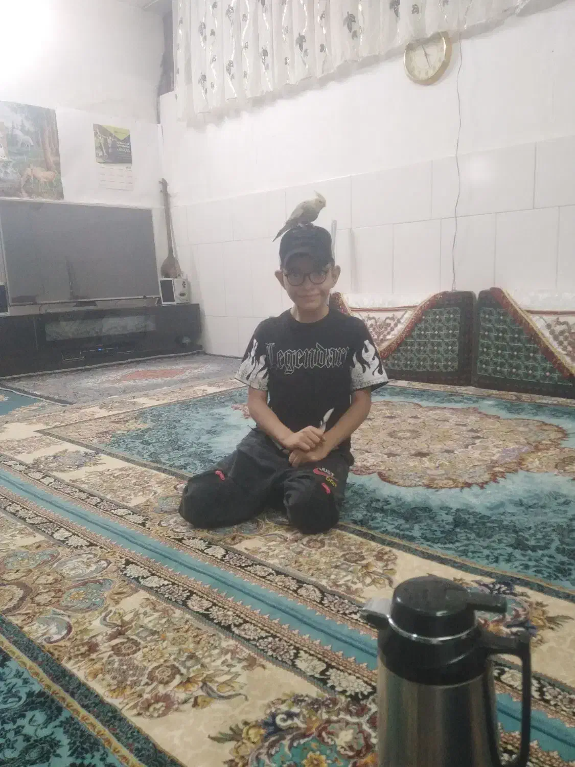 عروسی هلندی|پرنده|قم, چهل درخت‎|دیوار