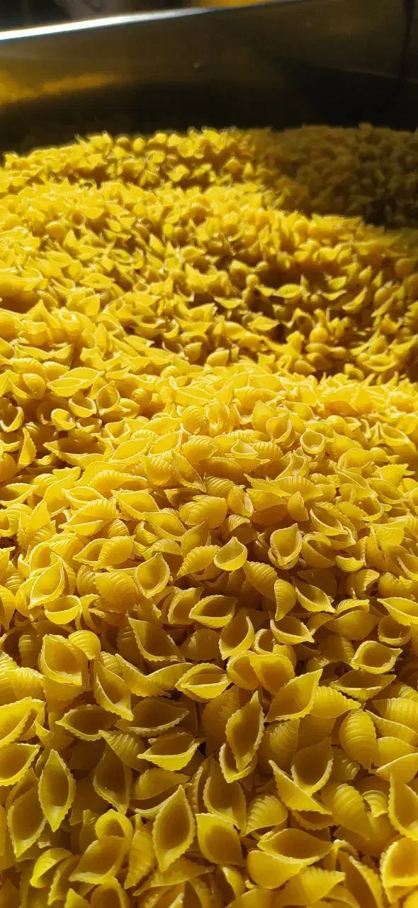 ماکارونی فرمی فله در هفت مدل|خوردنی و آشامیدنی|تهران, ترمینال جنوب|دیوار