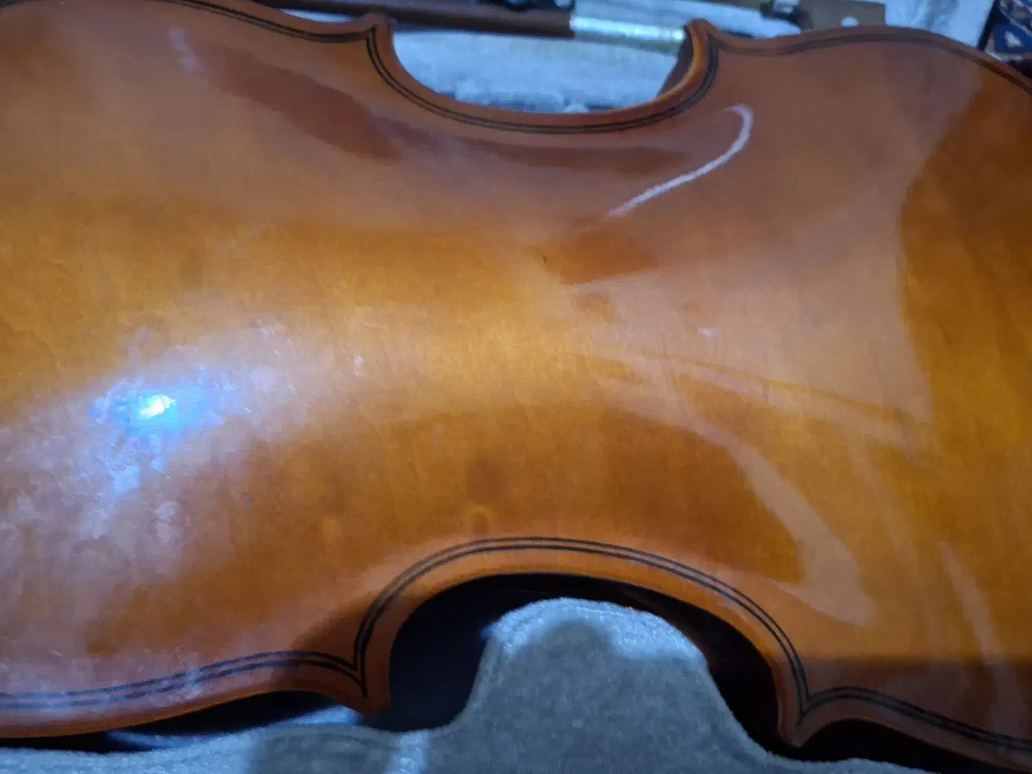 ویولون حرفه ای دست ساز|ویولن|اردبیل, |دیوار